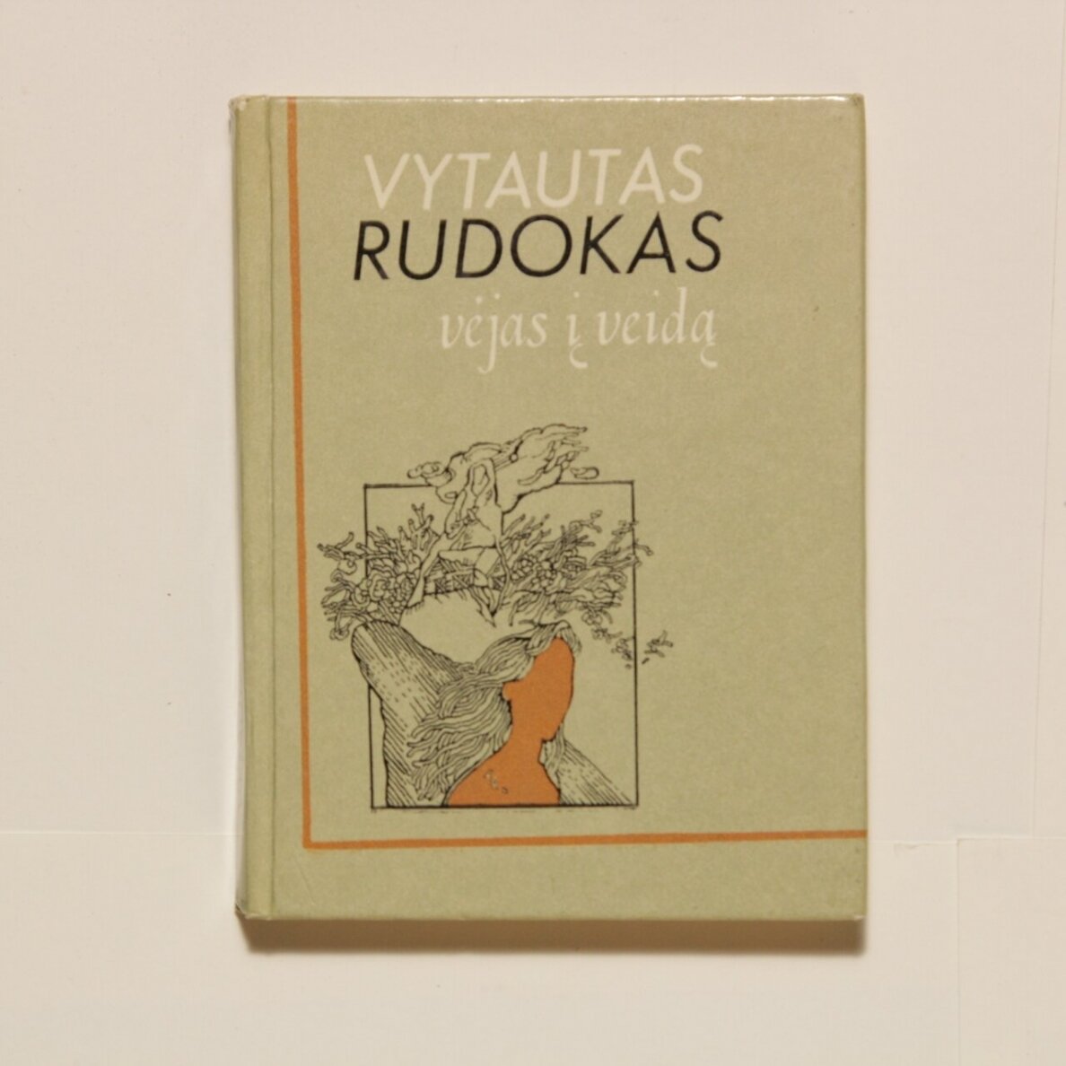 Vėjas į veidą : Eilėraščiai Vėjas į veidą : Eilėraščiai