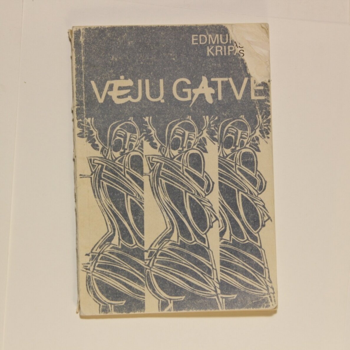 Vėjų gatvė Vėjų gatvė