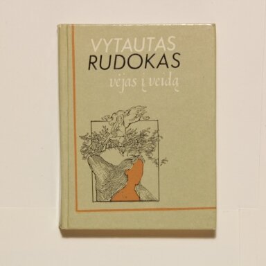 Vėjas į veidą : Eilėraščiai Vėjas į veidą : Eilėraščiai