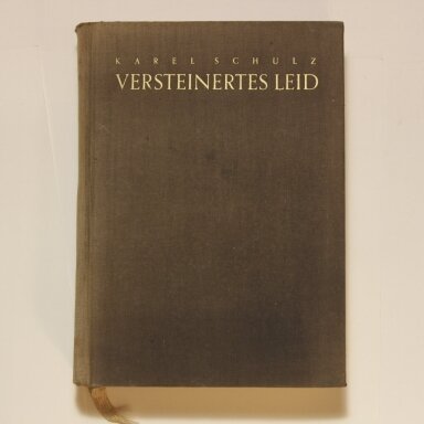 Versteinertes Leid : Michaelangelo Buonarotti Versteinertes Leid : Michaelangelo Buonarotti