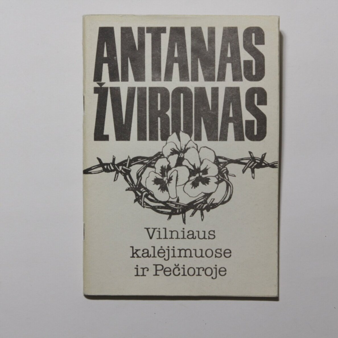 Vilniaus kalėjimuose ir Pečioroje