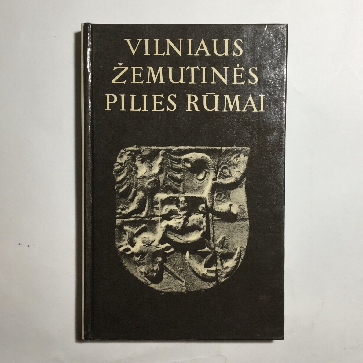 Vilniaus žemutinės pilies rūmai Vilniaus žemutinės pilies rūmai