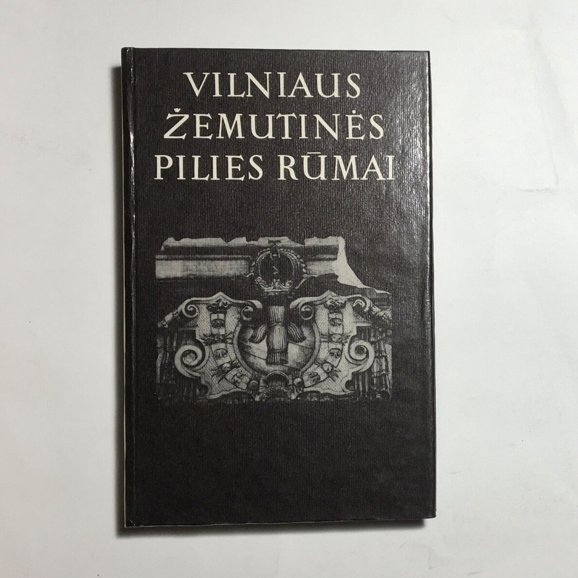 Vilniaus žemutinės pilies rūmai Vilniaus žemutinės pilies rūmai