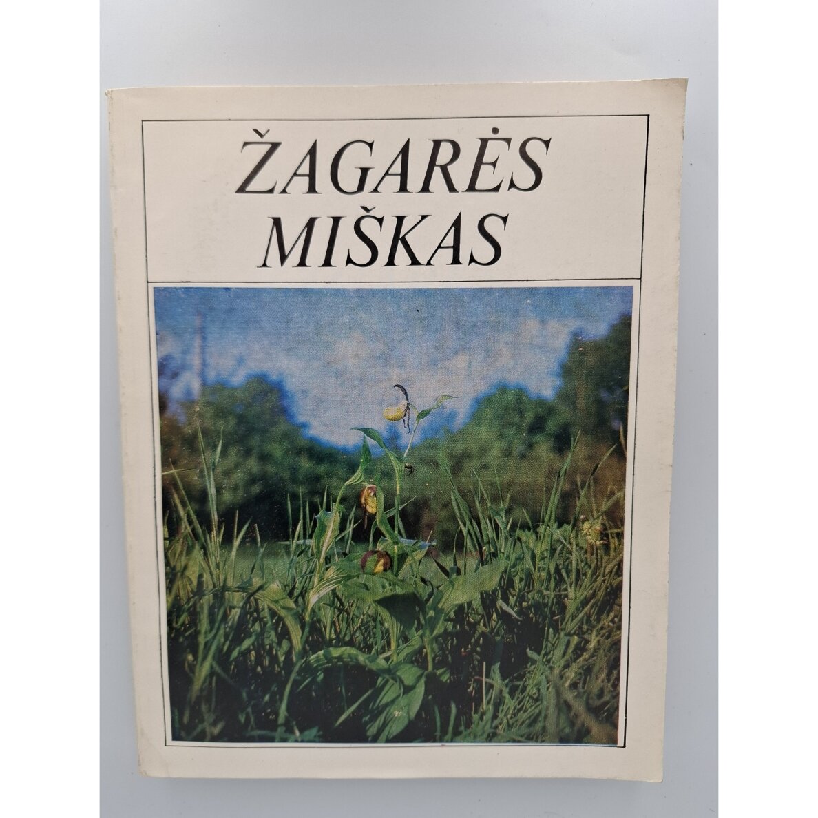 Žagarės miškas Žagarės miškas