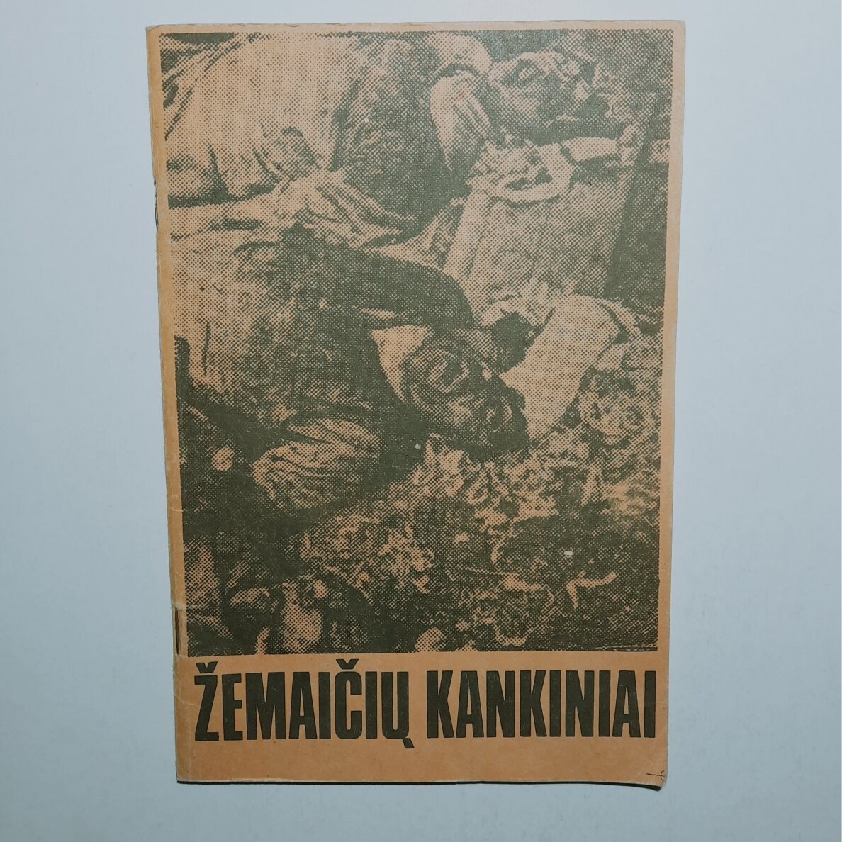 Žemaičių kankiniai : Rainių miškelio tragedija, 1941,VI.24-25 Žemaičių kankiniai : Rainių miškelio tragedija, 1941,VI.24-25