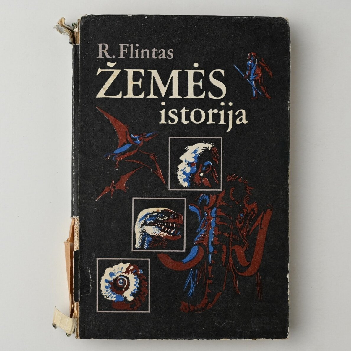 Žemės istorija Žemės istorija