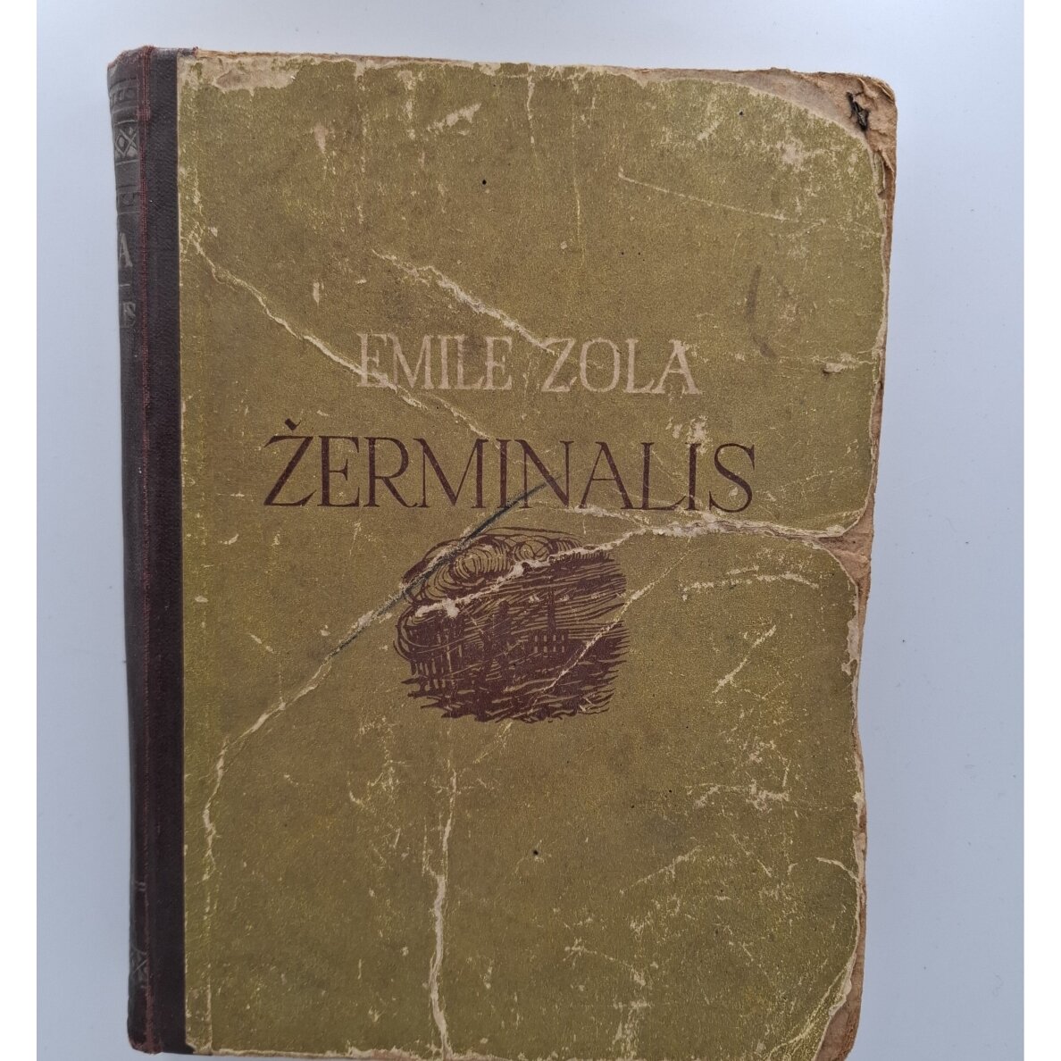 Žerminalis Žerminalis