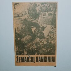 Žemaičių kankiniai : Rainių miškelio tragedija, 1941,VI.24-25