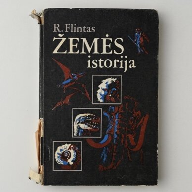 Žemės istorija Žemės istorija