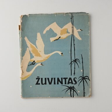 Žuvintas Žuvintas